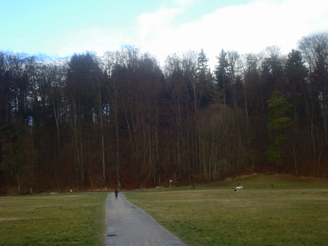 bosque zurich