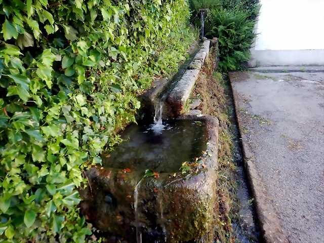 DSCN7516 DSCN7516