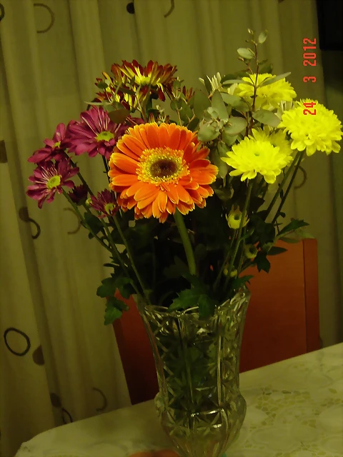 DSC04747