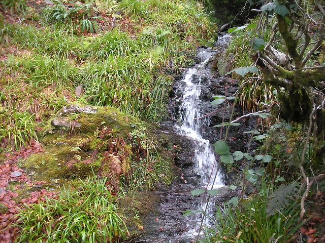 DSCN0778 DSCN0778