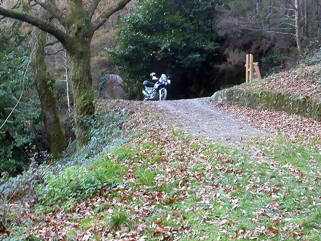 DSCN6682 DSCN6682