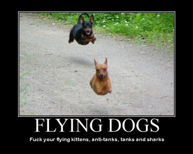 406-flying-dogs-fuck-your-flying-kittens-tanks-and-sharks