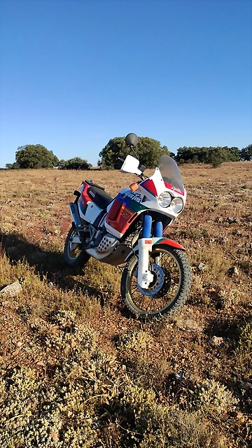 rd04