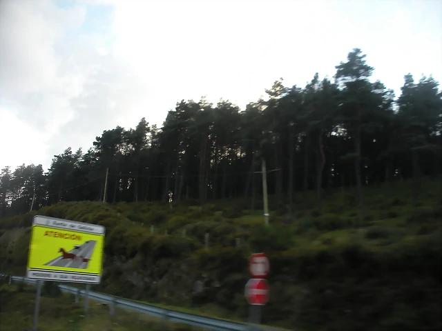 DSCN8502 DSCN8502