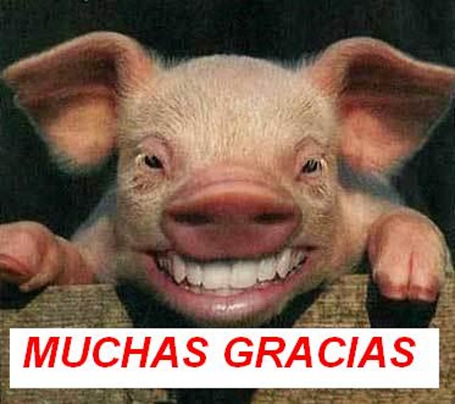 GRACIAS