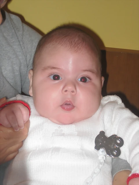 IMG_3248 IMG_3248