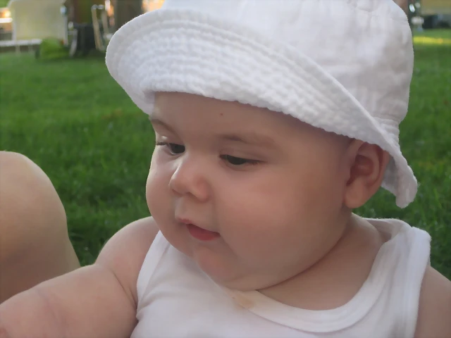 IMG_3959 IMG_3959