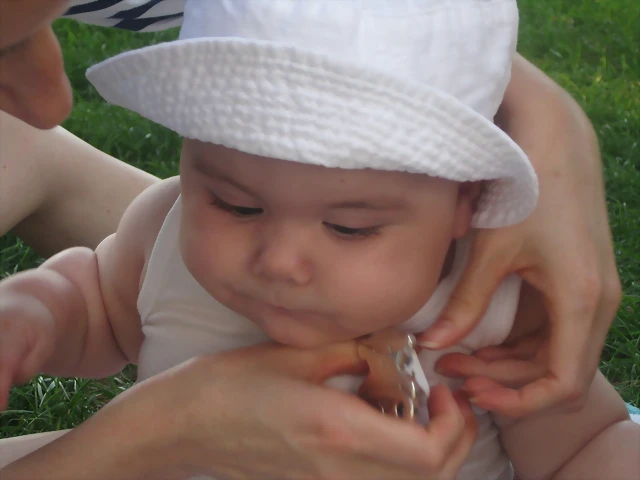 IMG_3957 IMG_3957