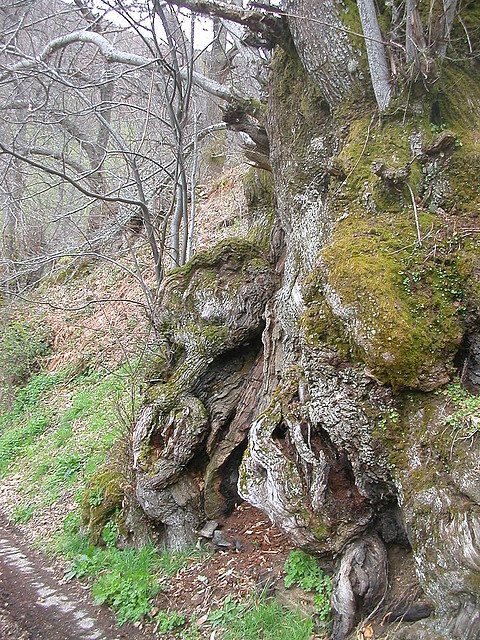 DSCN6335 DSCN6335