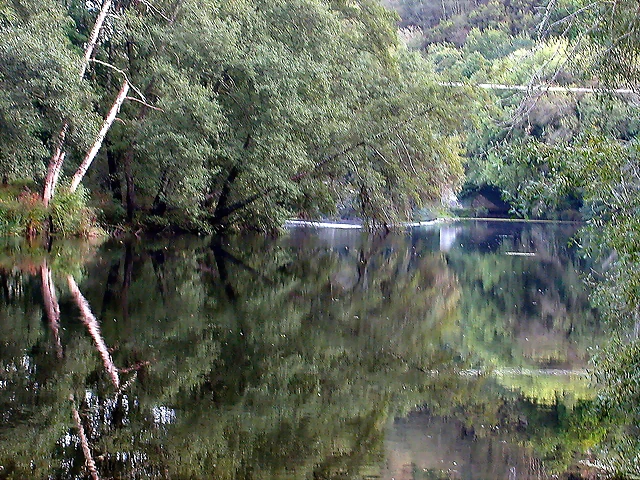 DSCN5300 DSCN5300