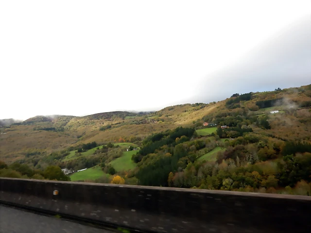 DSCN2643 DSCN2643