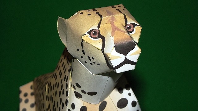 Cheetah (Papercraft) By Pendragon