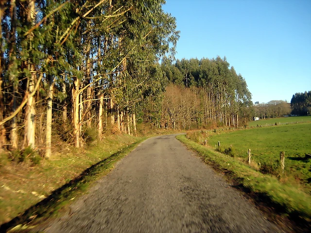 IMG_0502 IMG_0502