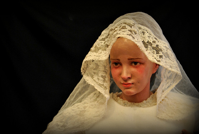 DSC_3237 DSC_3237