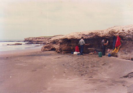 img030 img030