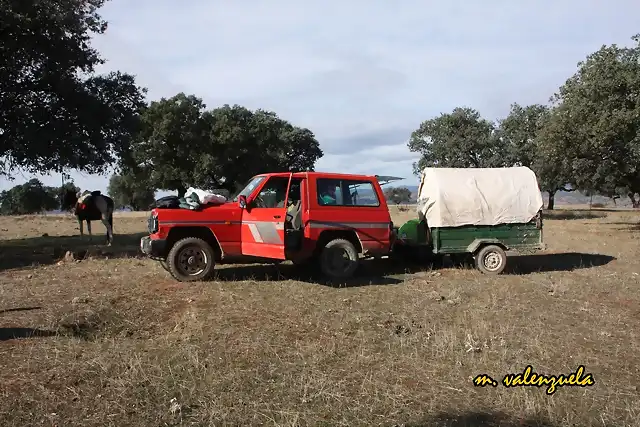 07, pastores y vaqueros 1, marca