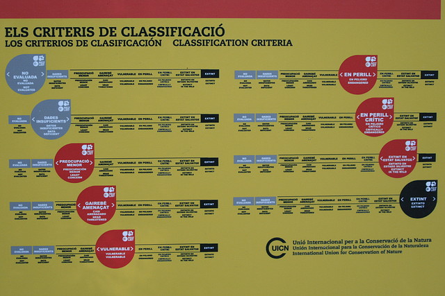 Zoo de Barcelona 20-10-10 090 Zoo de Barcelona 20-10-10 090