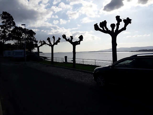 IMG-20180502-WA0010 IMG-20180502-WA0010