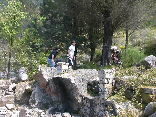 DSCN2419