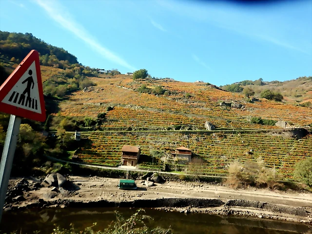 DSCN1576 DSCN1576