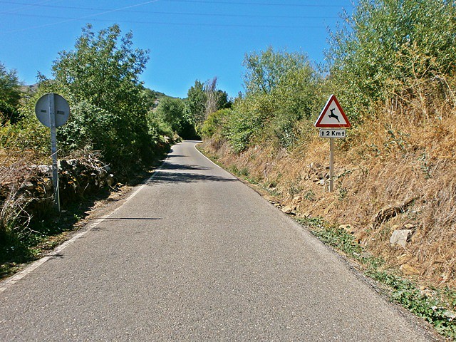 Barrios de Gordn (3)