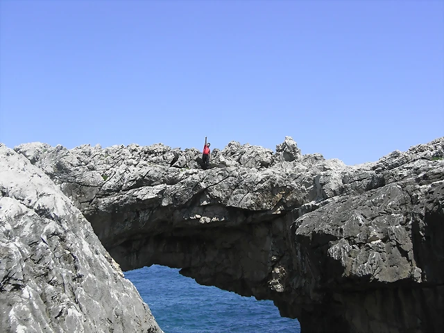 R0012796 R0012796