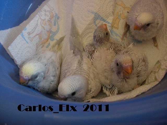 todos 13-9-2011 todos 13-9-2011