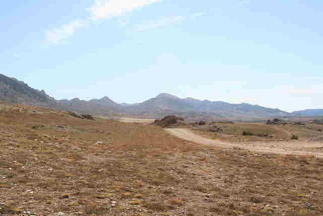 03 PARAMO 3