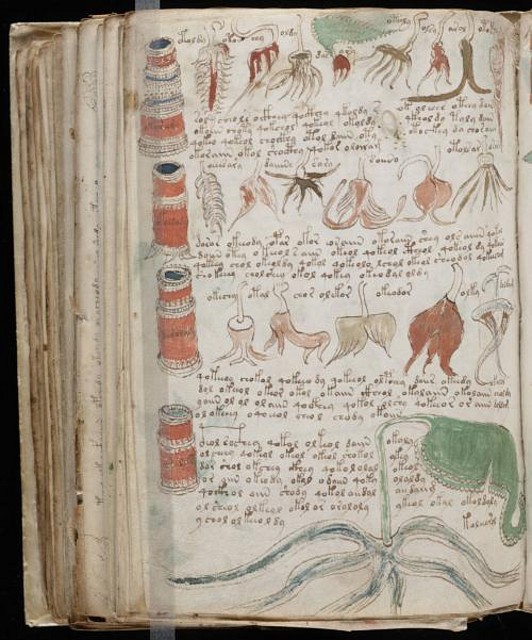 Manuscrito Voynich el libro que nadie puede leer