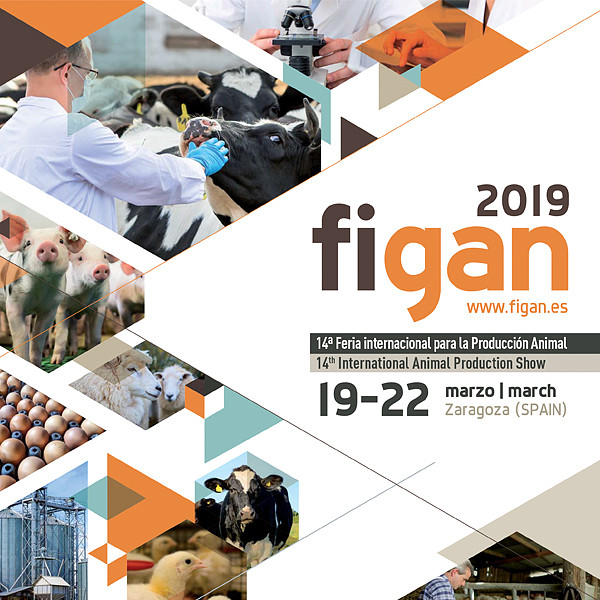 imagen-principal-figan_2019 imagen-principal-figan_2019