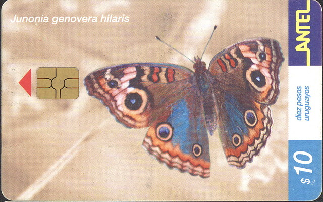 MARIPOSA03