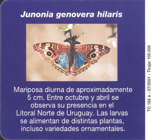 MARIPOSA003