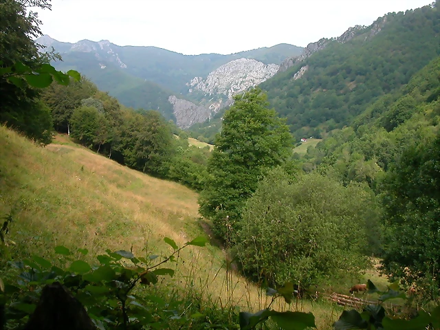 DSCN3815 DSCN3815