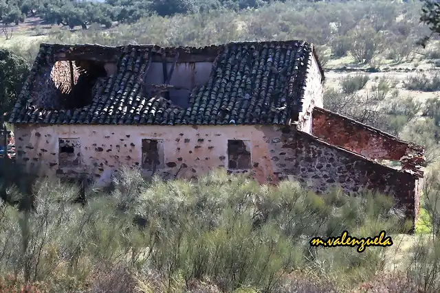 04, a espaldas del cortijo 2, marca