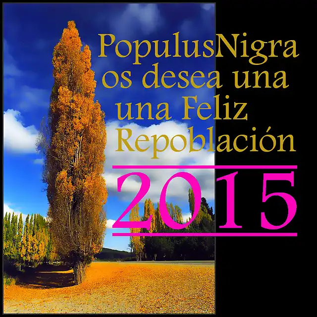 Feliz 2015