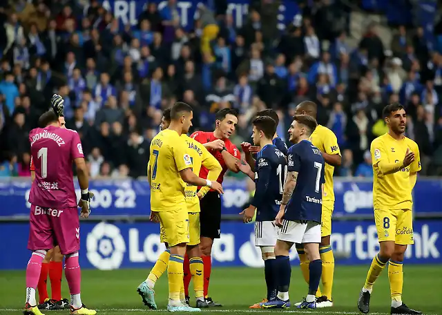 oviedo-palmas (10)