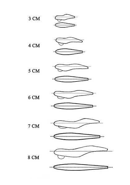 Plantillas Poteras en Centimetros (Modelo 1)