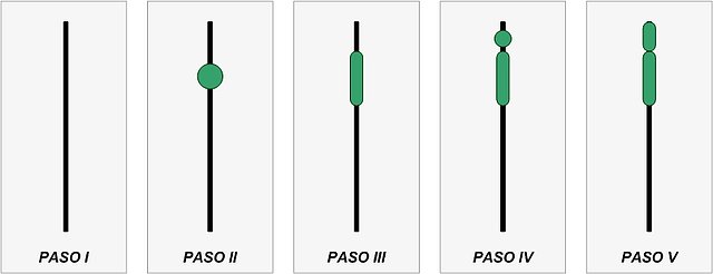 Elaboracion juncos