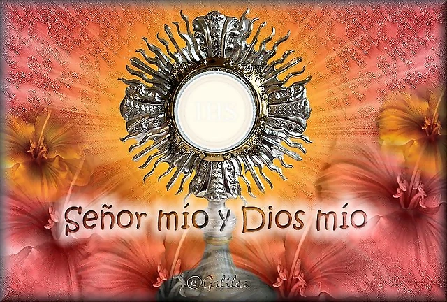 SE?OR MIO Y DIOS MIO