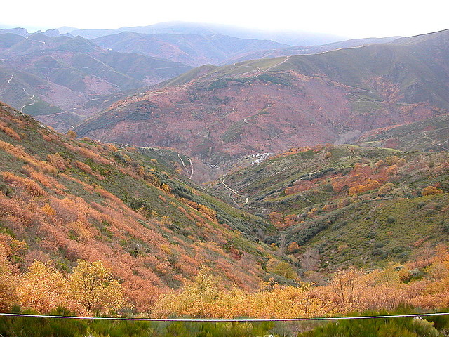 DSCN9542 DSCN9542
