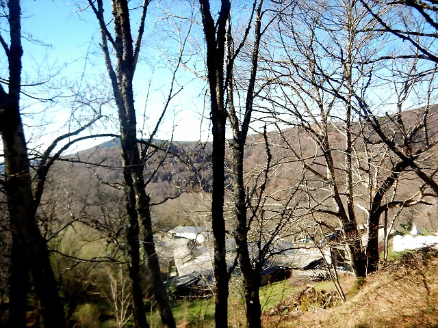 DSCN3632 DSCN3632
