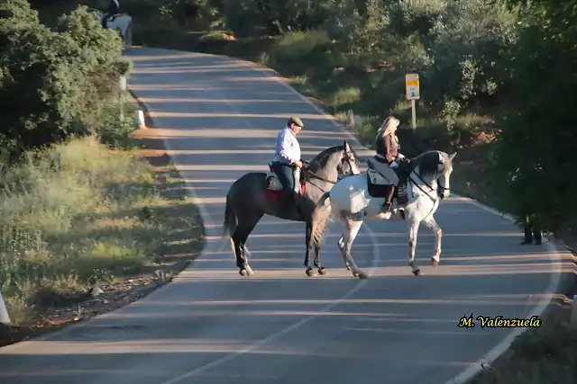 11, caballos, marca