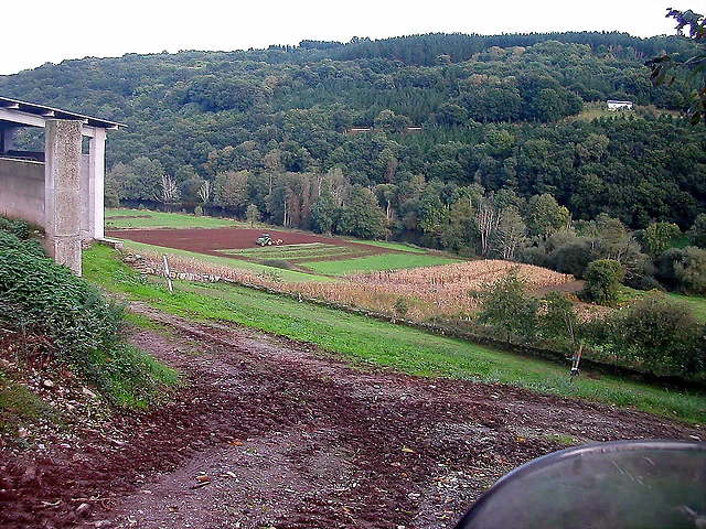 DSCN5366 DSCN5366