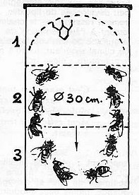 2-quart-opti