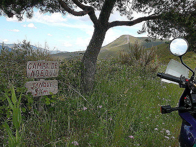 Campa abedul junio Campa abedul junio