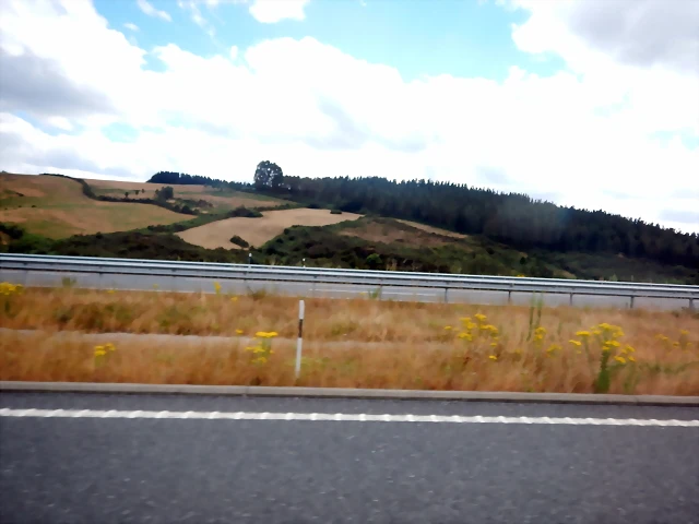 DSCN9022