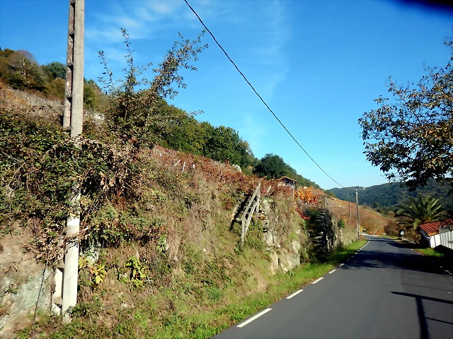 DSCN1530