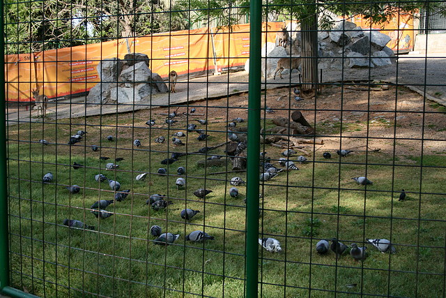 Zoo de Barcelona 12-04-11 080 Zoo de Barcelona 12-04-11 080