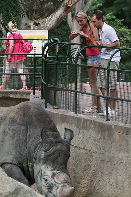 Zoo de Barcelona 07-09-2010 209 Zoo de Barcelona 07-09-2010 209