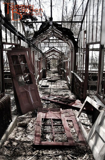 greenhouse-abandoned